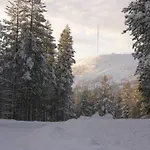 Charming Log House - Lumous B - - Finland *