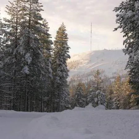 Charming Log House - Lumous B - - Finland *