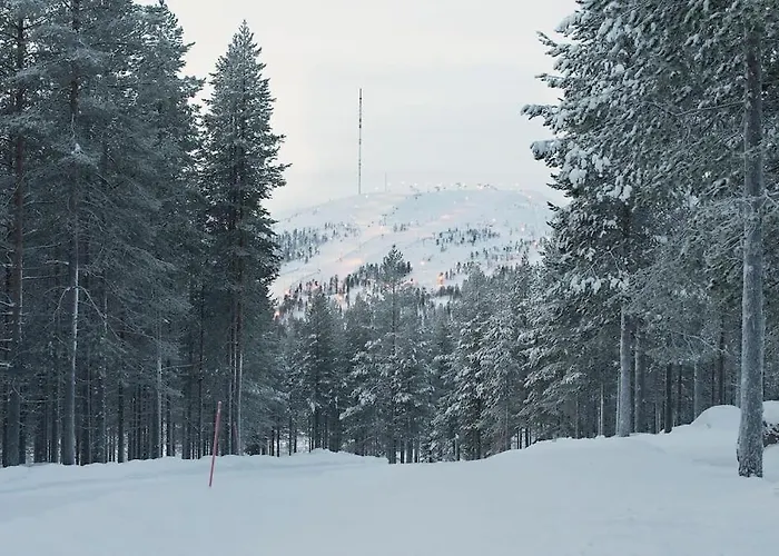 Charming Log House - Lumous B - - Finland Villa Pyhätunturi